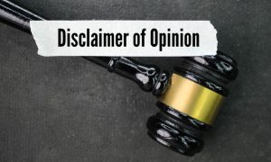 Disclaimer of Opinion Phrase Above Judge's Gavel