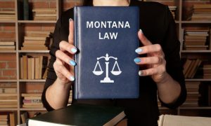 Blue Book Which Reads "Montana Law" Held By Woman Inside Library