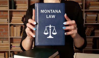 Blue Book Which Reads 