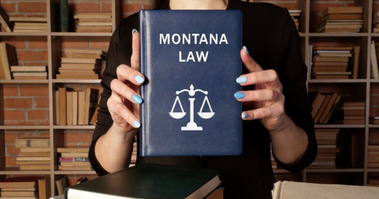 Blue Book Which Reads "Montana Law" Held By Woman Inside Library