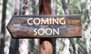 Forest Backdrop with Wood Sign Reading Coming Soon