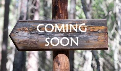 Forest Backdrop with Wood Sign Reading Coming Soon