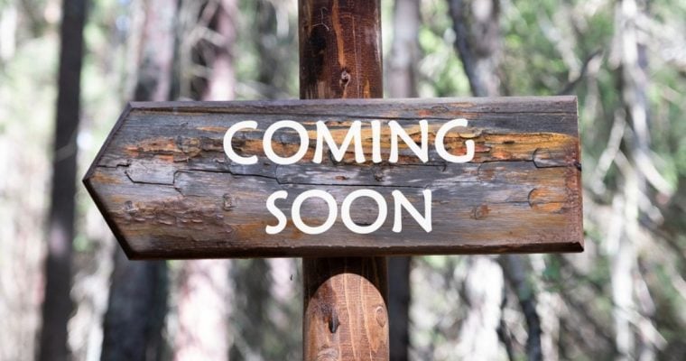 Forest Backdrop with Wood Sign Reading Coming Soon