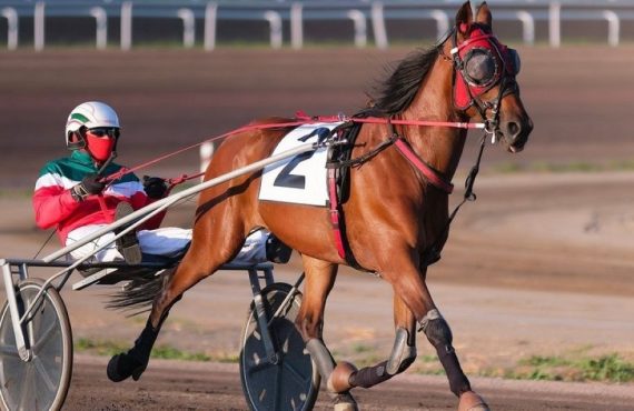 Decatur Racino Project Gains Approval from Illinois Senate