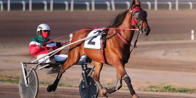 A bill to build a racino in Decatur advances in Illinois General Assembly.