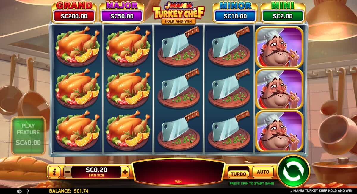 J Mania Turkey Chef standard reels view