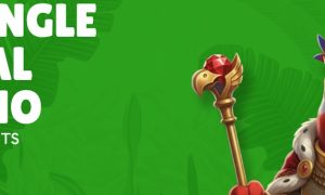 Sweep Jungle Casino branding with parrot