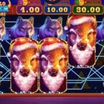 Buffalo Power Christmas bison santas