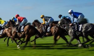 Group of Racing Horses Run On Green Grass On Sunny Day