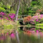 SC bill would provide million in tax revenue from casinos to conservation.