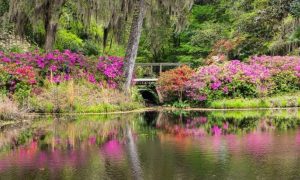SC bill would provide million in tax revenue from casinos to conservation.