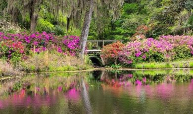 SC bill would provide million in tax revenue from casinos to conservation.