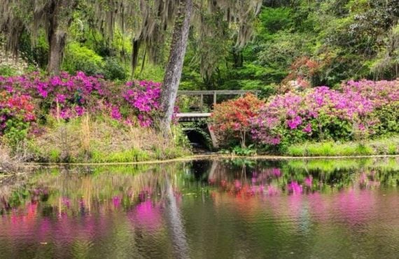 South Carolina Bill Would Allocate $30M+ from Casino Revenue to Conservation