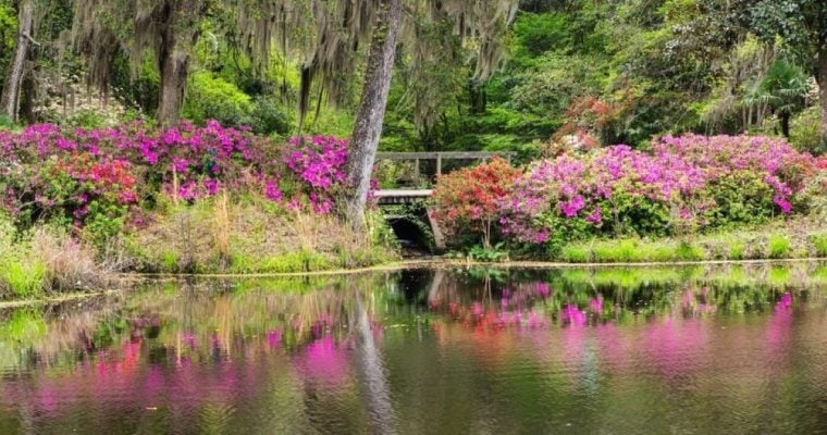 SC bill would provide million in tax revenue from casinos to conservation.