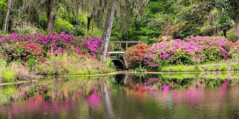 SC bill would provide million in tax revenue from casinos to conservation.