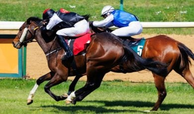 Side View of Two Brown Horses Racing on a Sunny Day