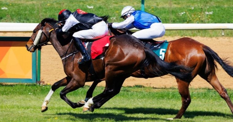 Side View of Two Brown Horses Racing on a Sunny Day