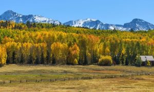 Pollshows overwhelming opposition to online casinos in Colorado.