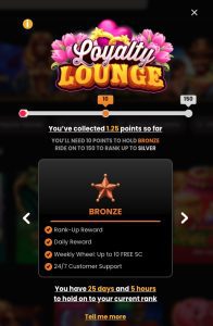 MegaBonanza Casino loyalty lounge showing Bronze level