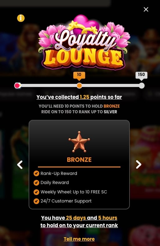 MegaBonanza Casino loyalty lounge showing Bronze level