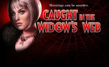 Caught in the Widow’s Web logo