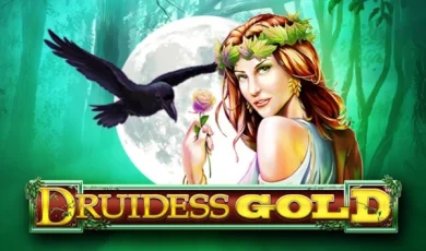 Druidess Gold logo