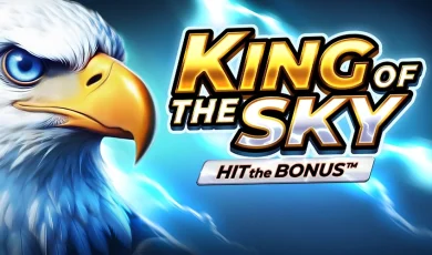 King of the Sky: Hit the Bonus logo