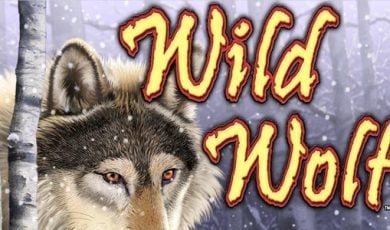 Wild Wolf logo
