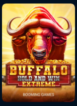 Buffalo Hold and Win
