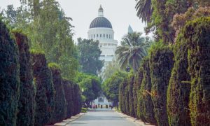 Green Trees Line the Front Entrance of California's State Capitol Building