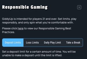 A screenshot showing the Responsible Gambling tools available at GiddyUp Casino