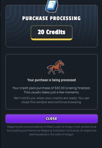 A screenshot showing a transaction processing at GiddyUp Casino.