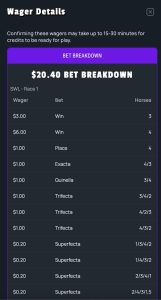 A screen showing the horse racing wagers that I made by purchasing credits at GiddyUp Casino