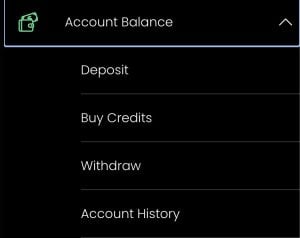 Image showing how to find the withdraw button at Horseplay Casino