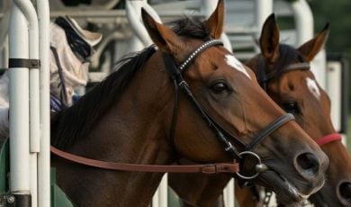 Florida decoupling bill fails to pass, a win for the horse racing industry.