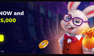 Jackpot Rabbit Welcome Offer Available to New Players