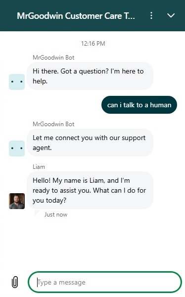 Mr. Goodwin chat support