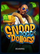 Snoopdogg Dollors portrait