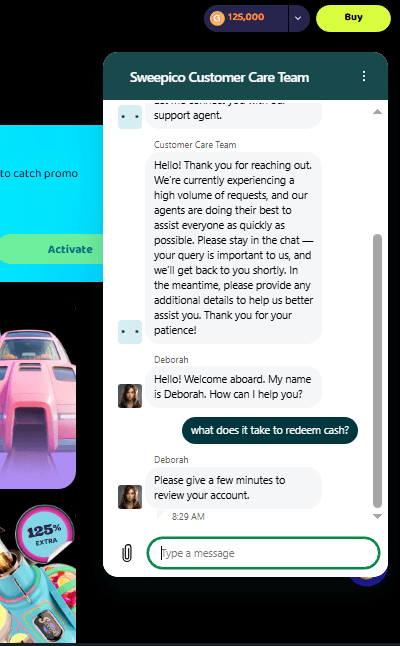 Sweepico customer support