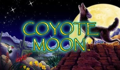 Coyote Moon Thumbnail