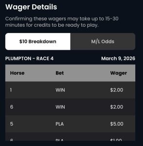 Screenshot showing the wager details I received when I made a deposit at Horseplay.