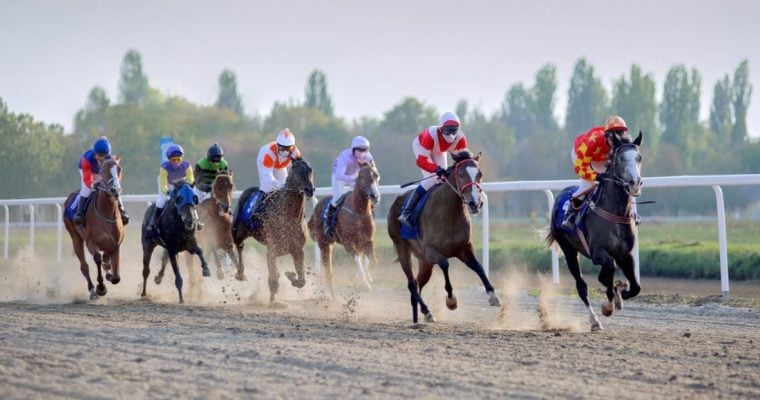 Several Horses Racing on a Dirt Race Track on A Sunny Day