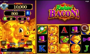 Rakin Bacon slot game