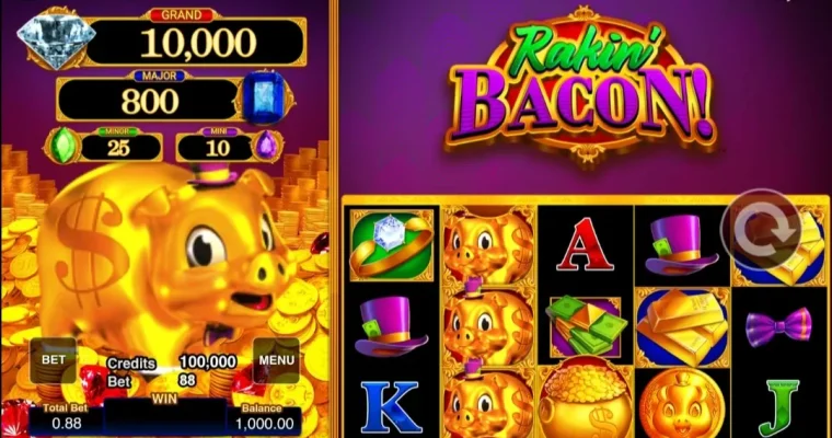 Rakin Bacon slot game