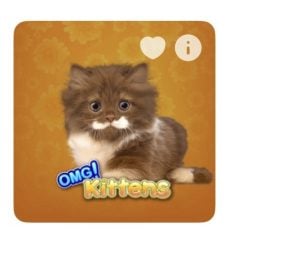 OMG Kittens at Ballys