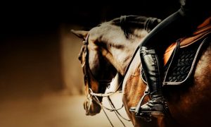 Profile of Brown Horse With Rider Sitting on Saddle