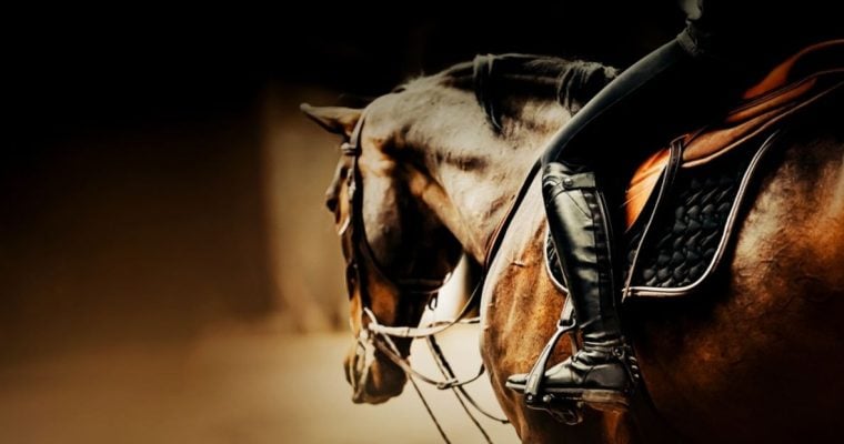Profile of Brown Horse With Rider Sitting on Saddle
