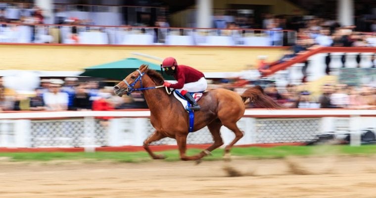 Jockey Races on a Brown Horse With Spectators Watching in Background