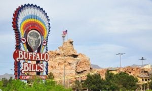Nevada gives Terrible's one-year licenses to operate the casinos in Primm, NV.