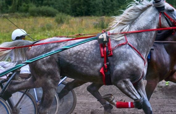 Illinois Horse Racing Faces Uncertain Future After Rescue Bill Stalls